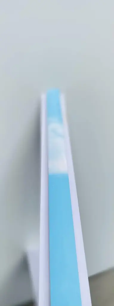 H8599